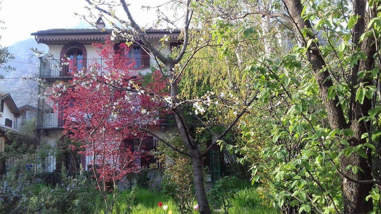 Il Giardino Dei Merli Bussoleno Kültér fotó