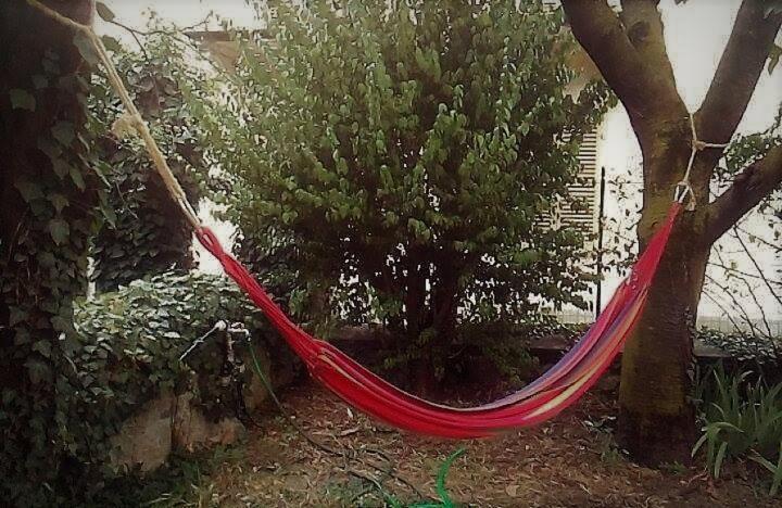 Il Giardino Dei Merli Bussoleno Kültér fotó